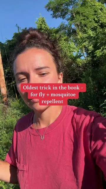 #foryoupage #tiktokshop 