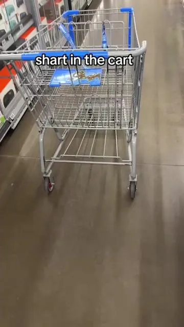I’m not dealing with dirty disgusting shopping carts from the grocery store anymore. Now I bring my own it’s lightweight. It’s collapsible. I don’t need to bring bags or boxes home from the store because I can just transport it in my cart boxes. This thing is the best I’ll link it at the bottom.  #shopping #shoppingcart #costco #aldi #grocery #groceryshopping #grocerycart #costcohaul #costcodeals 