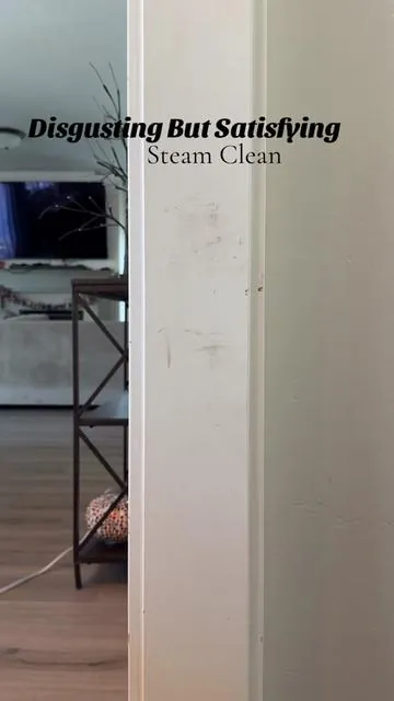 Why are steam cleaning videos so satisfying to watch #cleanwithme #steamcleaning #steamcleaner 