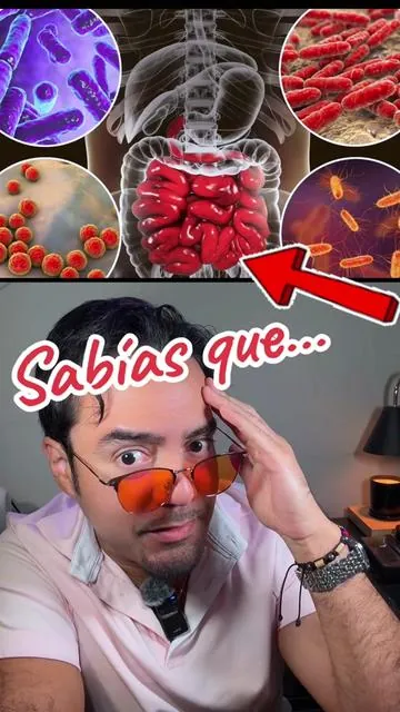 Prebioticos, Probióticos y Postbioticos el mejor suplemento para controlar la DISBIOSIS en tu sistema digestivo  #disbiosis #probioticos #prebioticos #postbioticos #saluddigestiva 