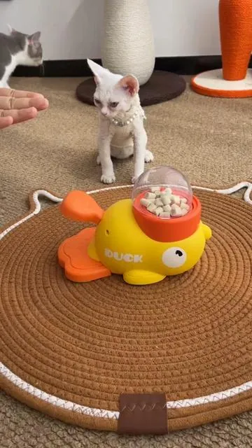 Smart cats serve other cats first #CatSnackTime#BigCatLittleCatDrama#InteractiveCatToy#HyperactivePet#PetTikTok#ViralPetMoments 