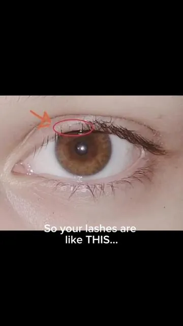 Affordable lash serum that actually works 🙌✨ #lashserum #eyelashgrowth #lashes #viral #fyp 