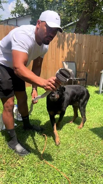 Gotta fight back against that shedding!!
