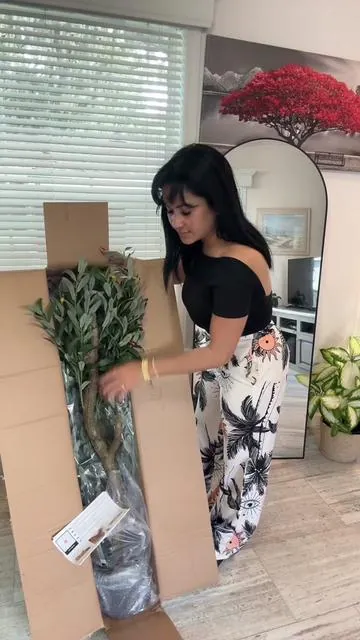 🌿 Dale vida y estilo a tu hogar con este Realistic Artificial Olive Tree 🍃 #HomeDecor #ArtificialPlants #OliveTree #DecorIdeas #TikTokMadeMeBuyIt 