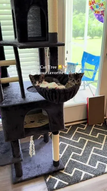 Cat trees are something I never thought I would own. Well, I’m a cat mama now 🥹🥹 #cattree #cattower #catsoftiktok #kittentok  