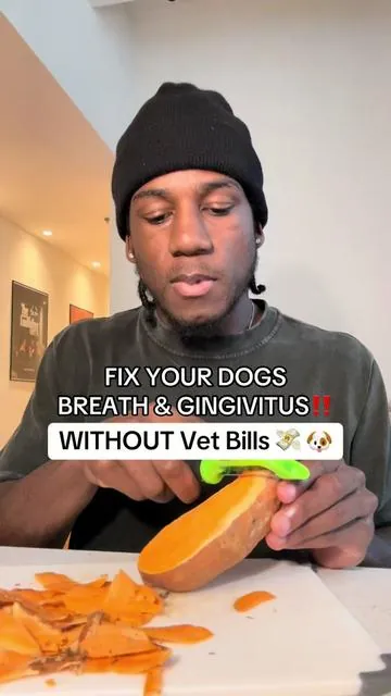 Her teeth and breath are so much better after just a month… #dogcare #dogdental #dogdentalcare #doghealth #dogsupplements 