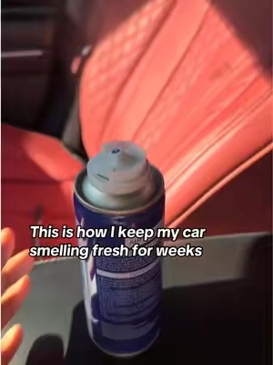 Yes I know the car dirty. I’ll get to it. You can do this spray method once a month and your car will stay smelling fresh 