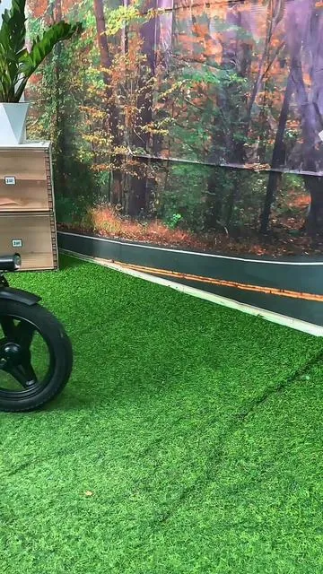 #ebike #tiktokshop #ebiketiktok #electricbicycle #rushtok2025 #tiktokshoplabordaysale #fyp 