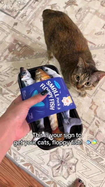 Sorry, I keep posting this, I’m just so happy because my senior cats are  8-15 years old and it’s so hard to get them to play with toys! I love this thing and FREE SHIPPING 🐟 #cattoys #cattoy #toysforcats  #cattok #catowner 