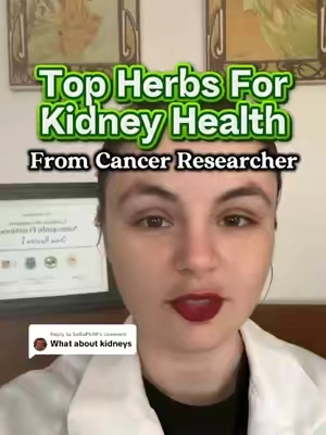 Replying to @SeRaPhiM here are some great herbs that play a role in kidney health! #kidney #kidneyhealth #holistichealth #over40 #tiktokshoplabordaysale 
