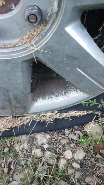 7545467278364609805