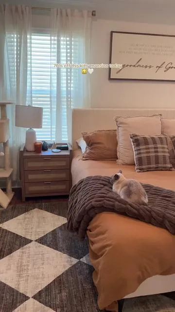 He is obsessed with his new cat tower 🥹🤍 #cattower #cat #cats 