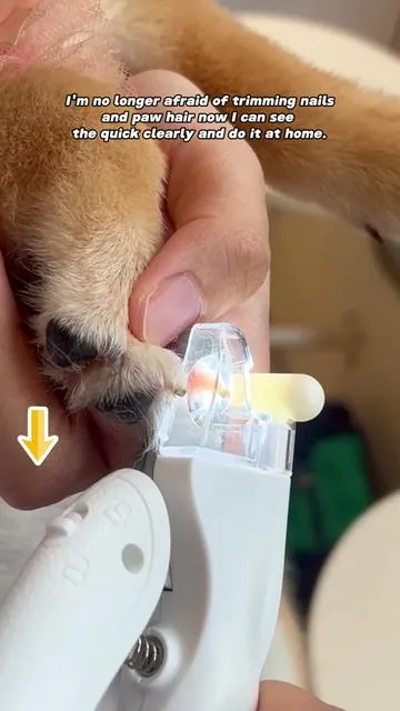 Best $15 I ever spent.I love a multifunctional tool !free shipping 🐾 #tiktokshop #dogsoftiktok #dogsoftiktok #doglover #petsoftiktok #doggrooming #nailclippers #light #hairtrimmer #rechargeable