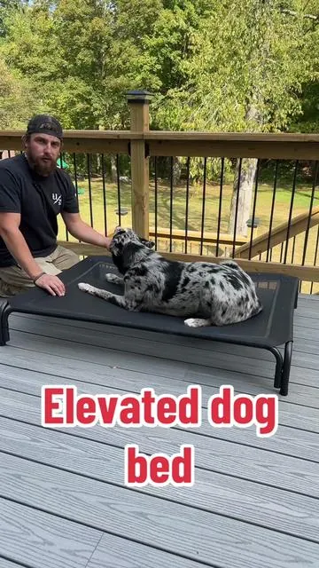 #dogbed #dog #dogsoftiktok #dogsofttiktok #doglover 