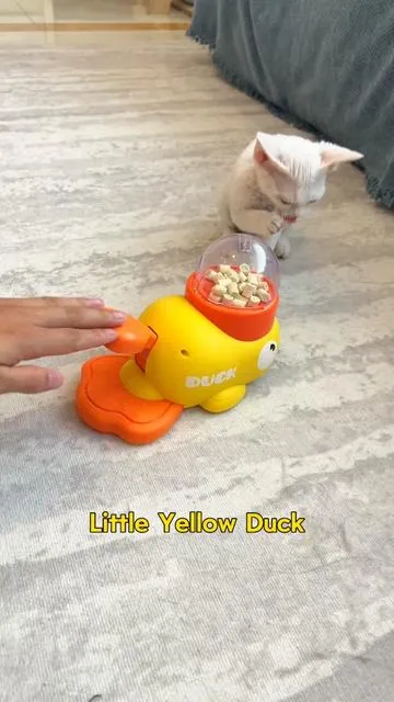 Snow jumps up and down after regaining his health #toyduck #potaroma #cleverdog #dogplaying #dogsofttiktok #smalldogsofttiktok #dogball #dogtoys #duck feeder puzzle toy #cozyvibes #petlife 