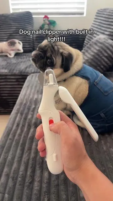 If you’re wondering how to cut your dog’s nails and not hit the quick/bloodline, the answer is a nail clipper with a built in light :) #dognailclipper #petnailclippers #nailclipperwithlight #doggrooming #nailclippingdogs 