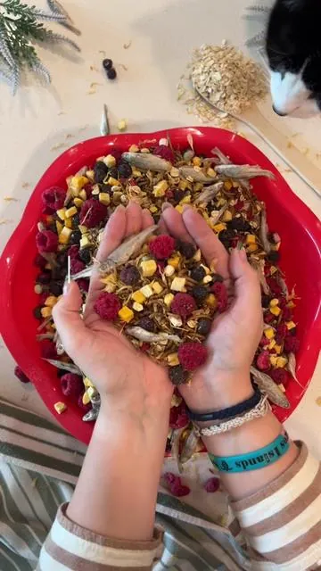 Meringue was so smol 😭🦆 Today we’re mixing up some healthy duck food!  Don’t worry, any single ingredient  I use for the whole mix would be a great option as a snack & almost anything is better than bread 🥖🚫 ##feedingducks##duckfood##nobreadforducks##healthyduckfood##wildducks