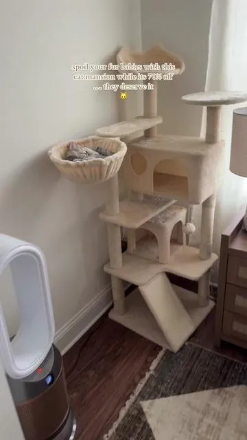 Living his best life on his new cat mansion... 🥹 #catsoftiktok #cattower 