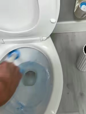 Don’t know why a disposable toilet cleaner brush isn’t the standard for cleaning a bathroom!! #disposabletoiletbrush #cleanbathroom #cleaninghacks 