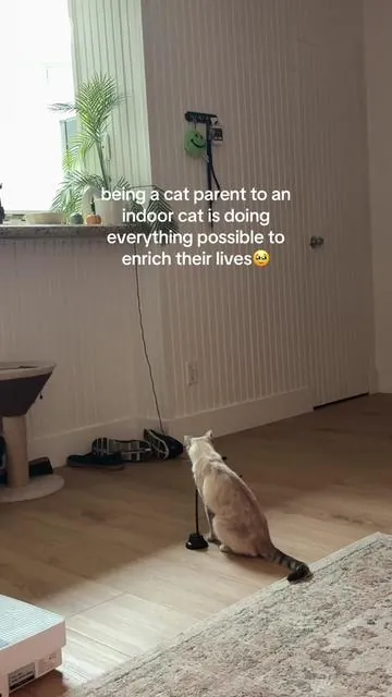 she lovessss bird watching so I thought this fake bird wand would be perfect for luna! 