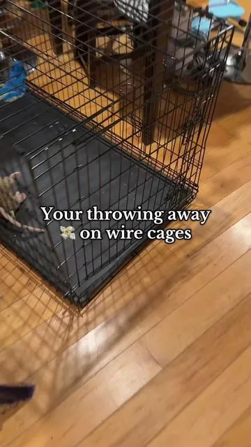 When your dog thinks they’re Houdini but you’re not playing those games 🐾 This heavy-duty steel crate is escape-proof, indestructible, and even has lockable wheels to roll wherever you need it. Big dog parents… this is a lifesaver 🙌 #tiktokshopcreatorpicks #dogmomlife #dogsoftiktok #largedogs #pitbull 