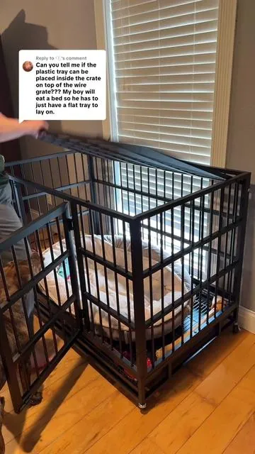 Replying to @🫧 honestly thank you because that never occurred to me. I just was following directions when I put it together 😂 as long as she doesn't grow thumbs, I think this one's going to last us a long time! #dogcage #tiktokshopcreatorpicks #pitbullsoftiktok #dogtok #dogmom 