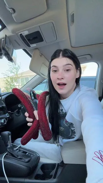 New steering wheel cover?! YES PLS#mysteryjewlerygirl #fypシ゚viral #trendingvideo #alttiktok #mysteryjewelryjar 