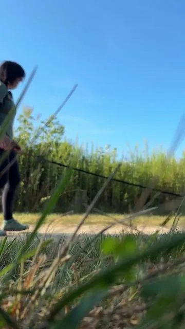 #ad Lottie loves running so much, but I need some way to entertain myself while we get our miles in 🤣 Maybe someday I will share my running with Lottie playlist!  #shokz #openearheadphones #openrunpro2 #running #runningwithdogs #canicross #activedog @Shokz Sports 