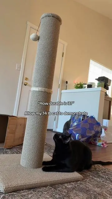 #scratchingpost #cat #catsoftiktok #cattoys 