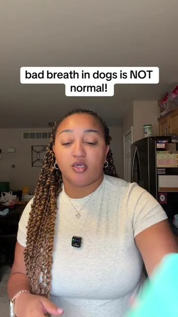 If you aren’t taking your dogs oral health seriously, let this be your sign to start today! No one wants to lose their dog to gingivitis when it could’ve been prevented. Kelp powder works wonders for dogs teeth and overall oral health  #tiktokshopfalldealsforyou #tiktokshopblackfriday #tiktokshopcybermonday @Finn Wellness 