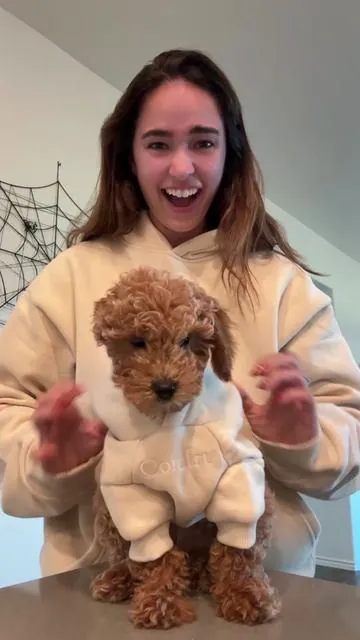 Cozy just went to paws 🐾 My pup’s new favorite: the Comfrt Minimalist Paw Hoodie = soft, stylish & leash-friendly.   #Comfrt #comfrtdoghoodie #tiktokshopfalldealsforyou #tiktokshopcybermonday #tiktokshopblackfriday 