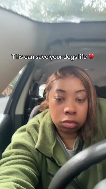 Why dont the gets tell owners this!!! #doghealth #lymedisease #zestypaws #tickprevention #petcare 