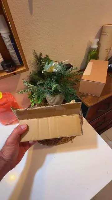 #sandiego #tiktokshop #tiktok #foryoupage #fyp 
