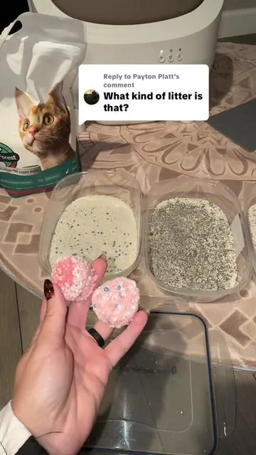 Replying to @Payton Platt The BEST cat litter! #catlitter #clumpinglitter #litterbox #tiktokshopcreatorpicks #tiktokshopfalldealsforyou 