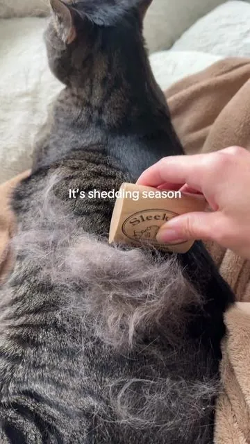 This works so well! #shedding #tiktokshopblackfriday #tiktokahopcybermonday #tiktokshopfalldealsforyou #tiktokshopcreatorpicks 