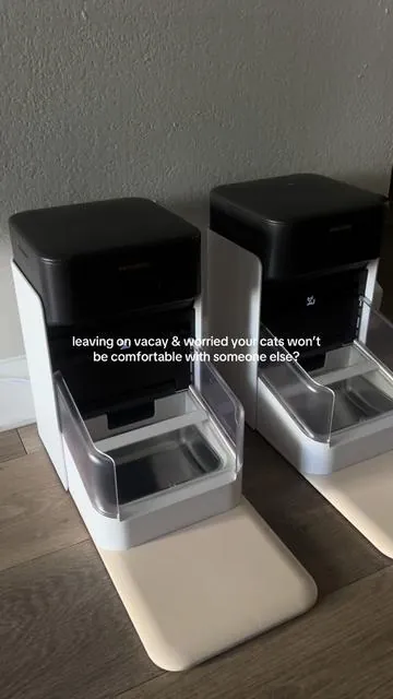 i feel so boujee with this for them🙂‍↕️ @Petlibro #catsoftiktok #mylilscottishfold #petsoftiktok #automaticfeeder 