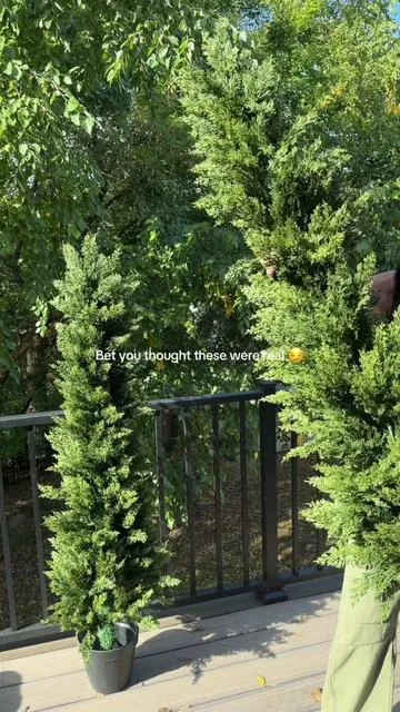 I was truly amazed at how realistic these trees are 🌲  #cypresstrees #faketree #christmastree #tiktokshopblackfriday  #tiktokshopcreatorpicks 
