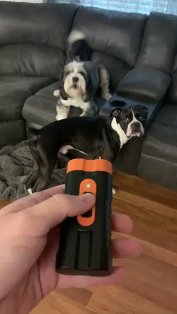 #dogbarking #dog #dogtraining #pets #TikTokShopCreatorPicks 