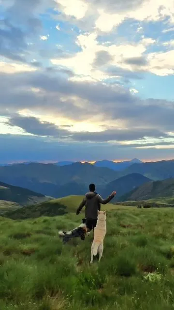 Only you, your pups, golden dusk, and the quiet wild — nothing else, yet it feels like everything. 👣 With Elite 200 V2 keeping your phone and laptop charged, freedom flows without pause.  #BLUETTI #Elite200V2 #Offgrid #PortablePower 