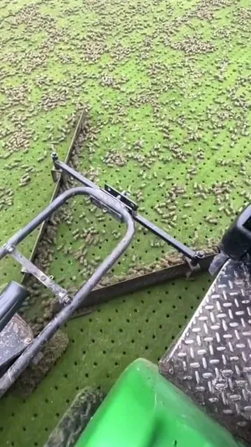 Just pulled leaves and aerated my lawn in one go this fall #RIFPOD #DIYYard #AutumnLawn #LawnCare #HomeImprovement   @RIFPOD 