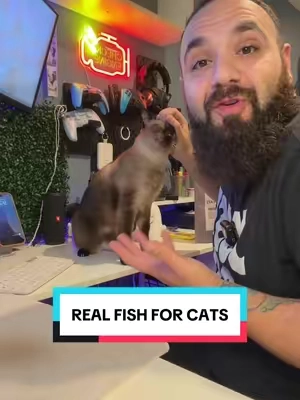 @King Lou minnows are great food that supplements your cats need for important fish oils! #minnows #rawcatfood #healthycatfood #cattreats #tiktokshopcreatorpicks 
