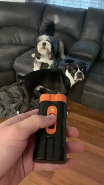#dogbarking #dog #pets #dogtraining #TikTokShopCreatorPicks 