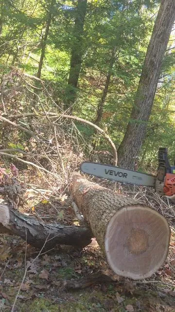 Cuts like a beast. This 62cc VEVOR chainsaw tears through logs fast with pro-level torque and a 20-inch bar built for serious woodcutting. Whether you’re trimming, clearing, or stocking firewood, this saw makes hard work look easy. #chainsaw #vevor #woodcutting #farmtools #tiktokshopfinds 