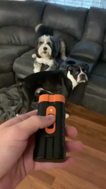 #barkstopper #dog #dogbarking #dogtraining #TikTokShopCreatorPicks 