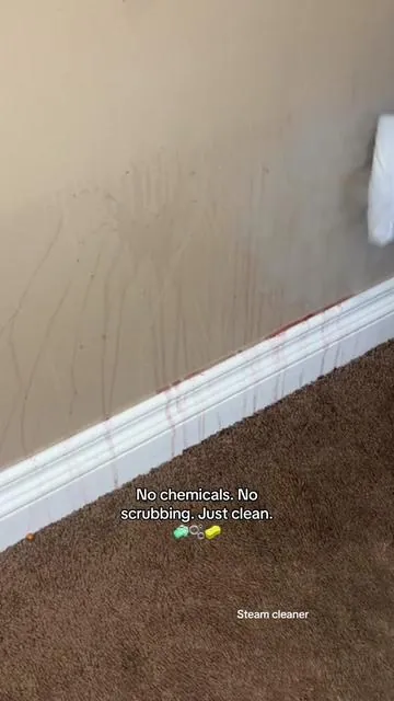 This steam cleaner makes my house feel brand new EVERY SINGLE TIME! #steamcleaner #cleaningtiktok #deepclean #tiktokshopcreatorpicks 