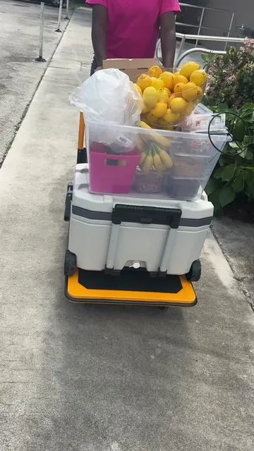 This dolly was a game changer. Perfect for transporting boxes, bins.. #moving Sn: Follow our biz page @Twinkle Twinkle Little Delight for more #tiktokshop