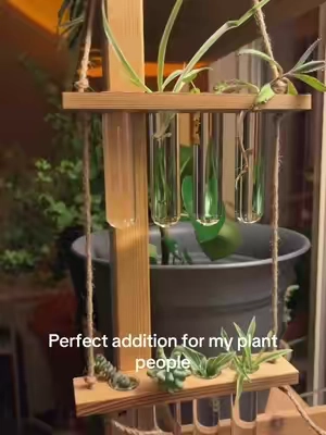This is perfect for my plant shelf! So cute! And great for propagating #plant #plantmom #propagation #decor 