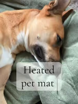 Cozy. Safe. Chew-proof. The Vagascape Heated Pet Pad keeps your furry best friend warm indoors or out, because dogs deserve comfort too! #heateddogbed #dogs #dogsoftiktok #dogbed #dog 