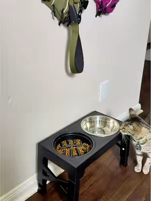 This is an entire elevated dog bowl set with two metal bowls and one challenge bowl. Adjustable leg height and collapses down for storage. #dachshundmom #petcarekit #usefulpetproducts #tiktokshopblackfriday #tiktokshopcybermonday 
