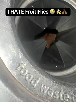 Garbage Disposal Cleaning 🧼🧽🫧

#cleaning #cleaningtiktok #activecleaningpods 